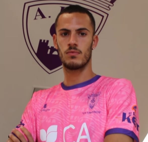 Rui Xavier Alves Araújo