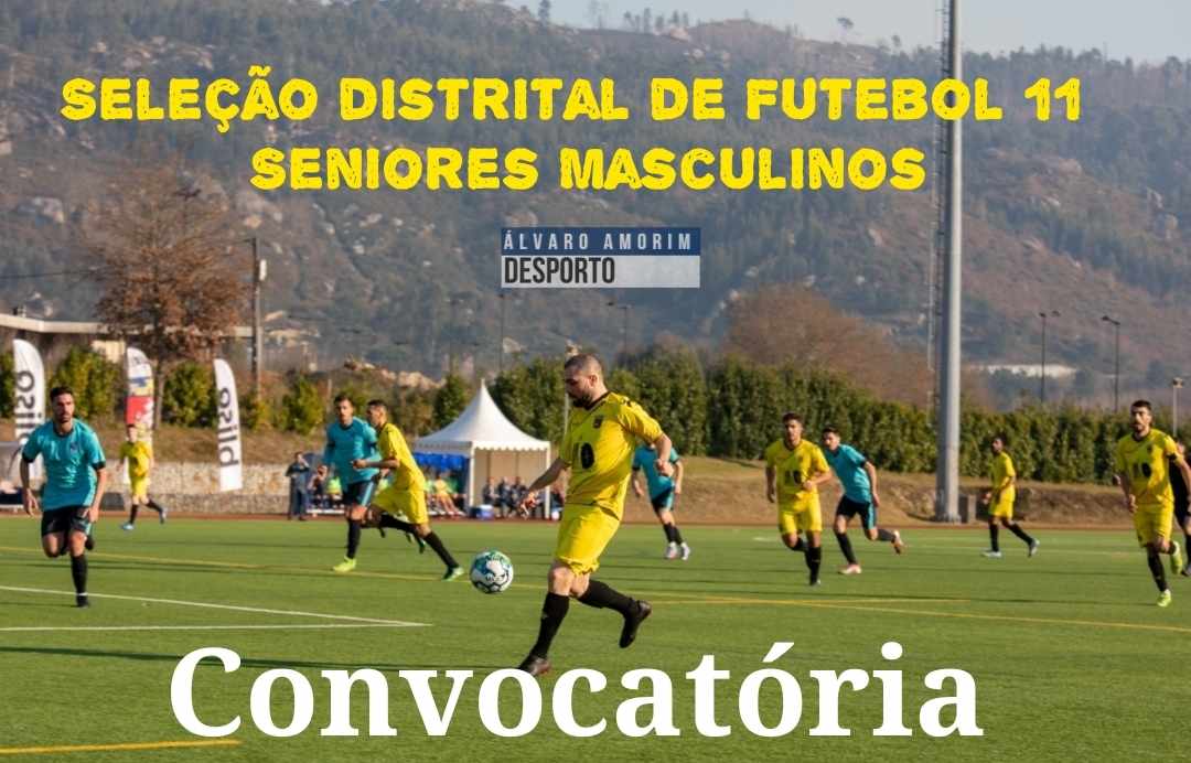 SELECÇÃO DISTRITAL DE FUTEBOL 11 MASCULINO – SENIORES